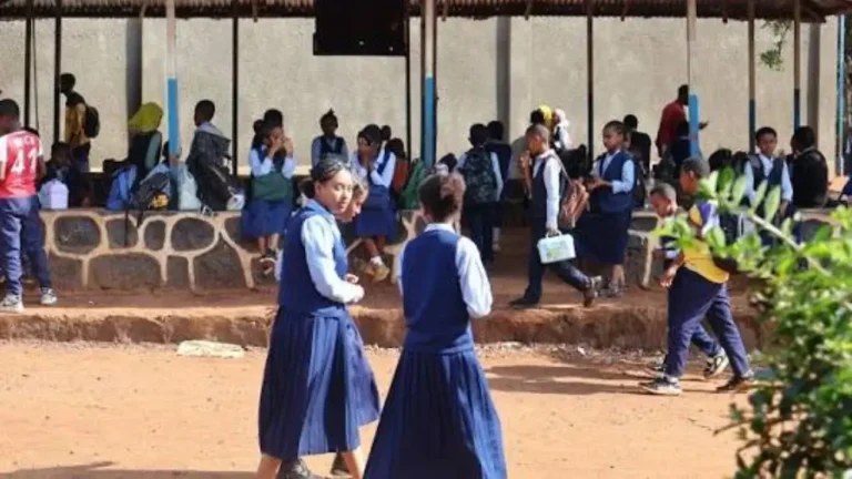 Addis Ababa 6th Grade Exam Result 2018/2026